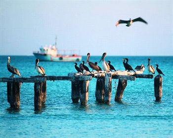 Wayak Holbox Hotel Buitenkant foto
